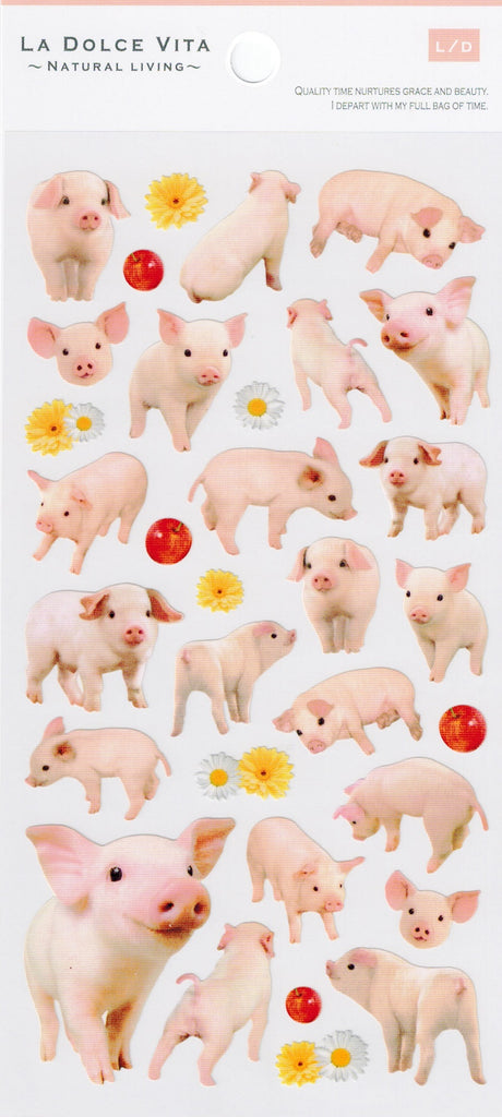 Piglet Photo Series Stickers by Mind Wave