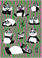 Panda Bamboo Bop Stickers *NEW!