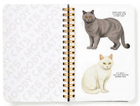 Moody Cats Sticker Book *NEW!