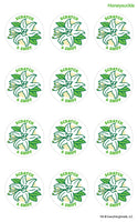Honeysuckle EverythingSmells Scratch & Sniff Stickers
