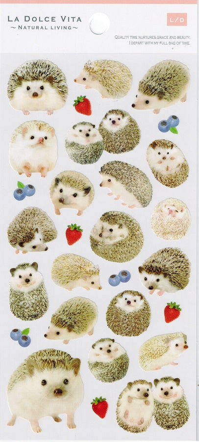 Hedgehog Photo Series Stickers by Mind Wave